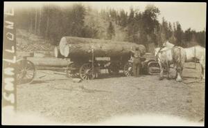 Loading logs on a wagon at Demuth camp near Princeton