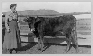 Margaret Smith with cow