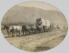Horse-drawn wagons