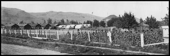 Internment Camp at MacDonald Park during W.W. I