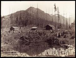 Three log cabins amidst tree stumps, mountain and swamp