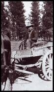 Unidentified Indigenous man in a horse drawn cart