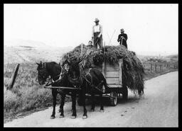 Hauling hay at W.A. Palmer Ranch, Okanagan Landing