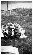 Flowers on gravesite