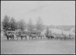 B.C. Express mule team in front of Clinton Court house 