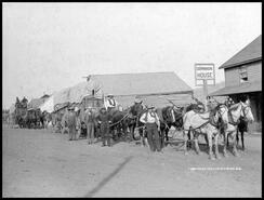 Train of wagons on 'Cariboo Road' at Clinton