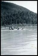 Phyllis Cooper and others swimming in the Arrow Lakes