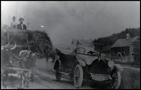 Hezekiah Elliot's oxen and Mosey Adams car