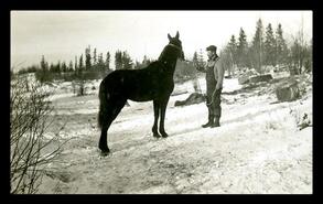 Member of survey crew with horse, unknown location