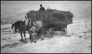 Hauling straw by team and wagon