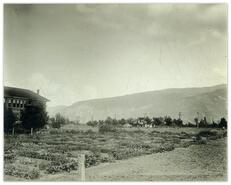 Grand Forks public school grounds under cultivation during W.W. I