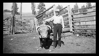 Unidentified man and cow on Thorlakson Farm, Commonage or Len Rice Farm