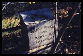 Jessie Violet Carr gravestone