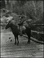 [Man on horse on log bridge]