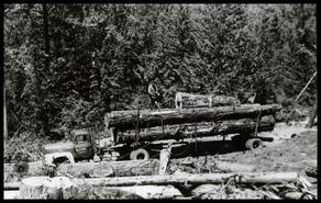 Load of logs at Drimmie Creek