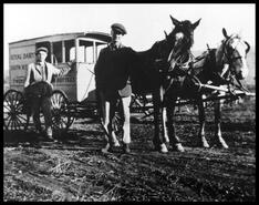 Fred and Ted Grahame with Royal Dairy wagon
