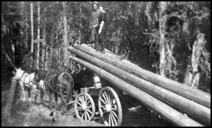 Team of horses pulling wagon with poles