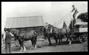 Willie and Frank Smith getting wagon and horse team ready at Spences Bridge