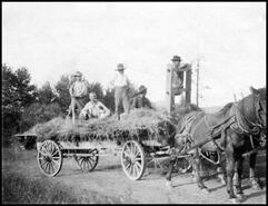 Five men on hay wagon