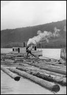 Logger on a log boom at the south end of Kalamalka Lake near Oyama