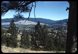 View over Vernon to BX and Silver Star Mountain