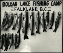 Fish on sign board, Bolean Lake Fishing Camp, Falkland, B.C.