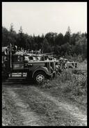 Seven logging trucks parked in a row at Loggers' Sports Day