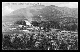 "Saw Mill and Lumber Yards, Enderby, B.C."