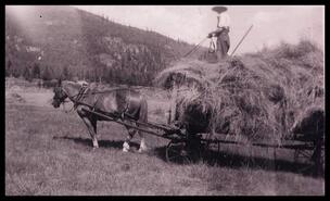 Harry Wynne on top of loaded hay wagon at Wynne farm, Appledale, B.C.