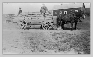 Two men with horse drawn wagon of grain at Craig's Ranch, Lansdowne