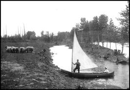 Boys beaching sailboat near Grindrod on the Shuswap River, 1910