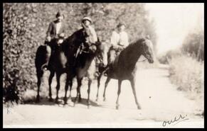Edith Weddell, Marjorie Quine, and Marjorie Copping on horseback
