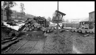 Unloading logs at the Vernon Box & Pine Lumber Co. Ltd. Yard