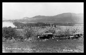 View of cars on a road beside orchards in the Coldstream