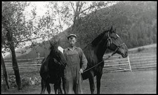 Unidentified man with two horses
