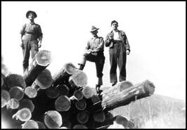 Napoleon, Wilfred and Rudolph Simard on a log pile at Noisy Creek