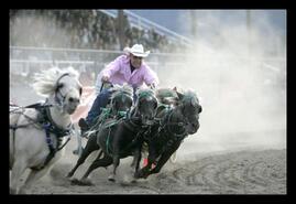 Tibor Kovacs competing in chuckwagon races at Interior Provincial Exhibition in Armstrong