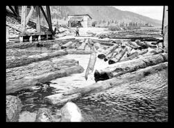 Moving logs through the Oyama Canal