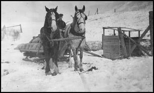 Hauling grain by team and sleigh