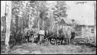 Group of men with horses and wagons at Fred Wampole's cabin in the Pennask Lake area
