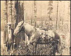 Charlie Carlson and pack horse on his property