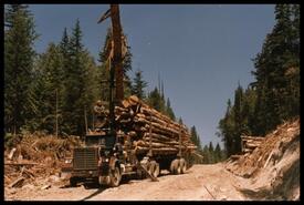 Self loading logging truck