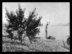 Naked man diving into Okanagan Lake
