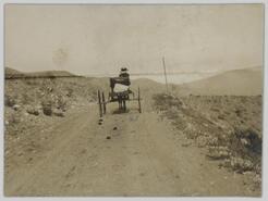 Horse-drawn wagon on road