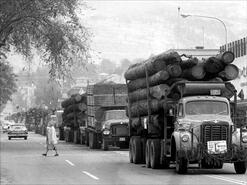 Logging trucks parading down Barnard Avenue (30th Avenue) during the Truck Logger's Convention