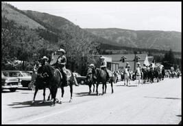 Horses and riders in Falkland Stampede parade