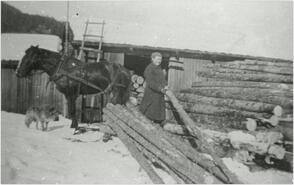 Woman piling wood with a horse and dog nearby