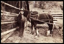 George Davis with a horse attached to a cart
