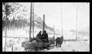 Horse-drawn sled in Christian Valley