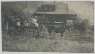People in horse-drawn wagon
